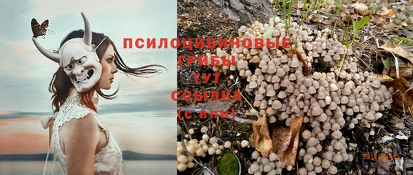 МДПВ Нязепетровск
